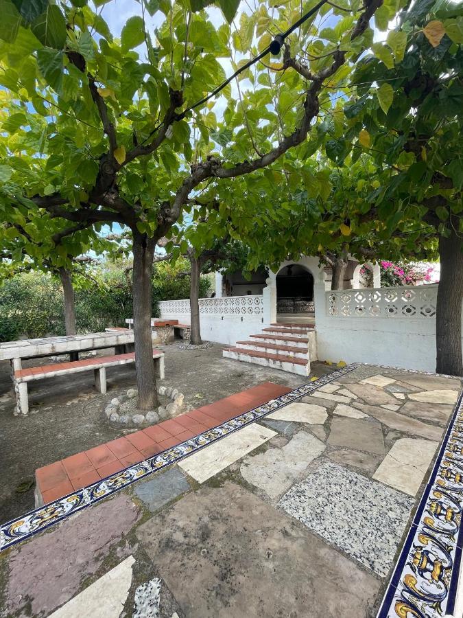 Alpen1 Residencial Finca Del Moro Peñíscola Eksteriør bilde